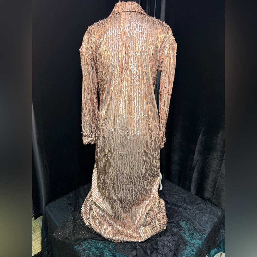 Sequin Long Sleeve Dress - Picture 5 of 8